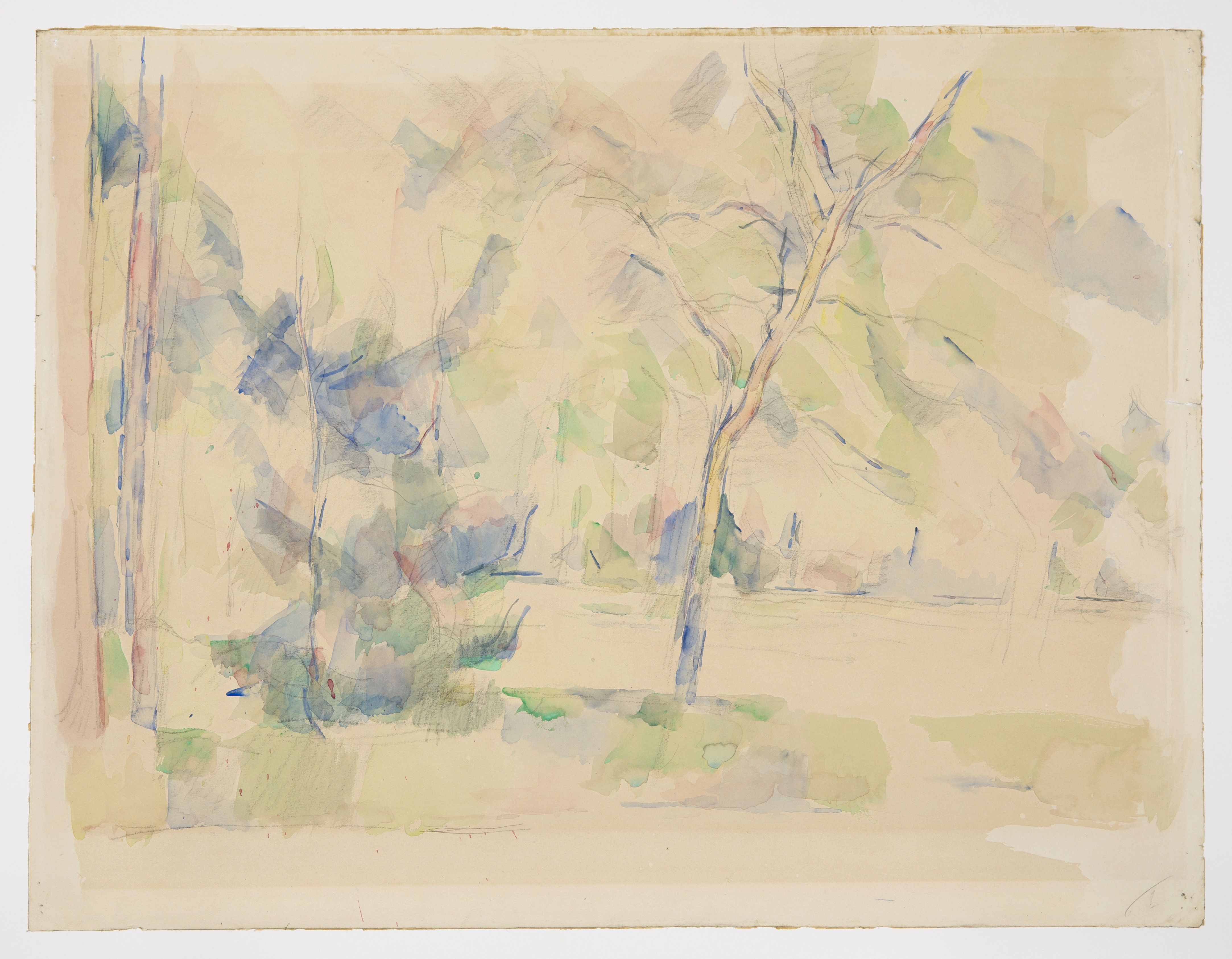 Lake at the Edge of a Forest - Saint Louis Art Museum