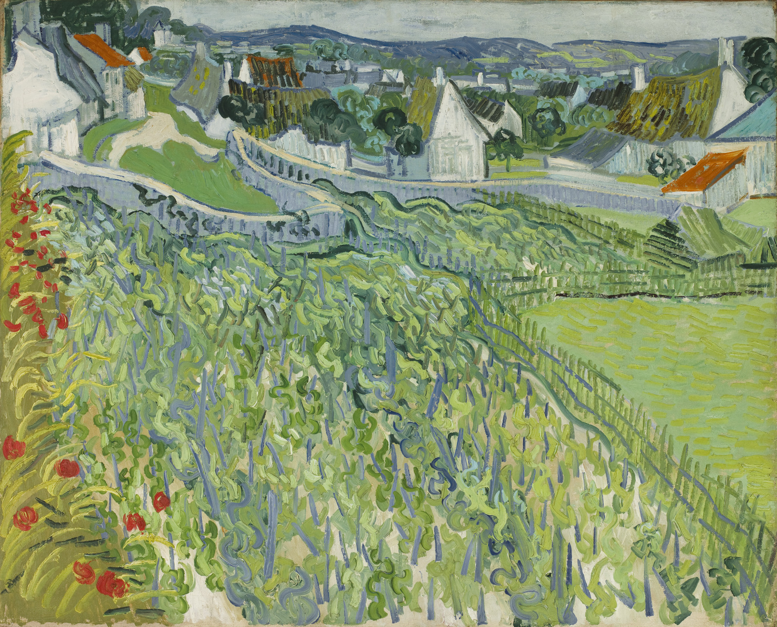Vineyards at Auvers - Saint Louis Art Museum